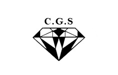 Познавательные и Cпортивные сайты  /  CGS DiamondSchool