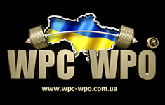 Познавательные и Cпортивные сайты  /  WPC WPO